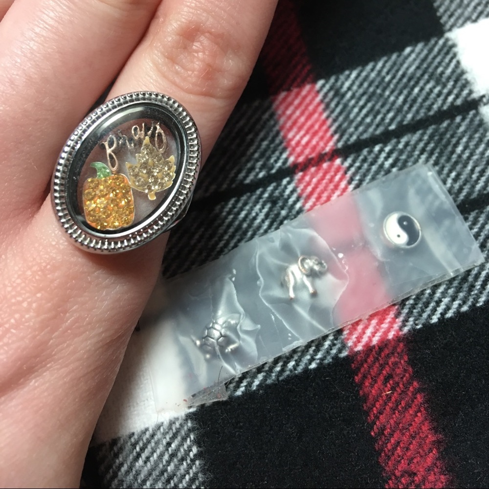 Origami Owl Ring & 6 Charms